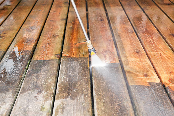 Best Dumpster Area Cleaning  in Tichigan, WI